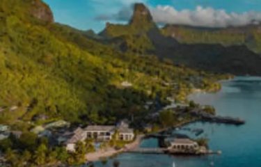 All Holiday Packages