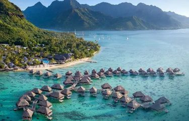 All Holiday Packages