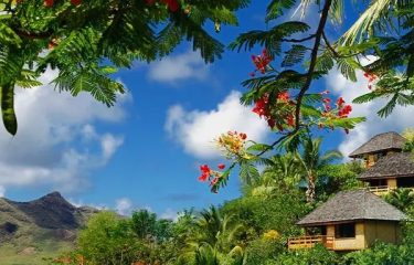 Escape to Hiva Oa