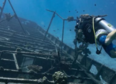 7 Night Dive and Whale Watch Adventure