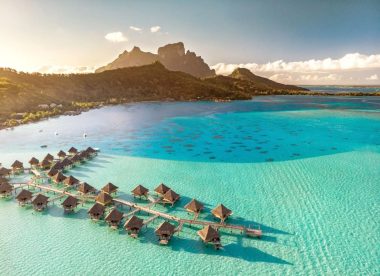 Whale Watching and Polynesian Paradise