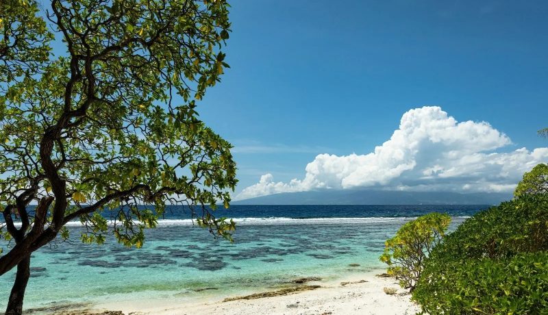 Your Polynesian adventure