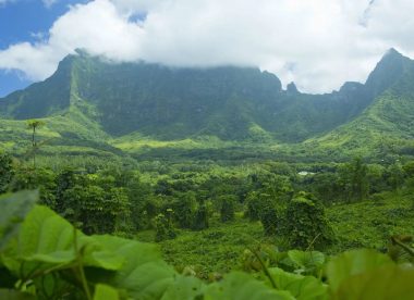 Your Polynesian adventure