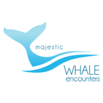 Majestic Whale Encounters