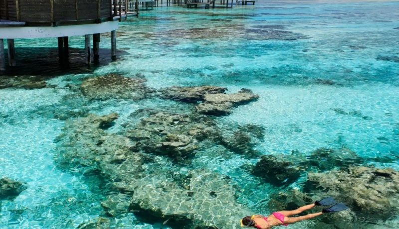Diving the Tuamotu Treasures