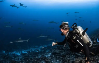 Tahiti’s Natural Heritage