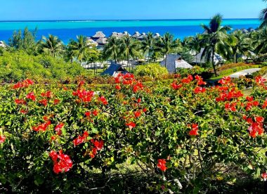 Hilton Moorea & Conrad Bora Bora Island Hopper Package