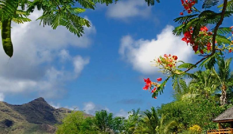 “ON SALE NOW” Le Nuku Hiva by Pearl Resorts