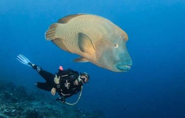 Rangiroa