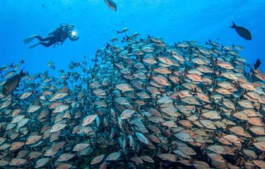 Rangiroa