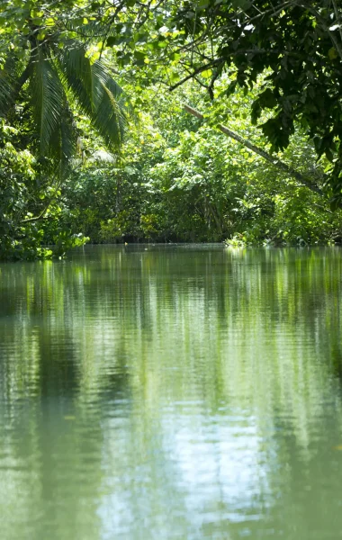 La rivière de Faaroa © Tahiti Tourisme