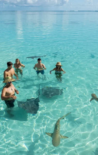 Baignade avec les raies et requins à Moorea ©_Grégoire Le Bacon