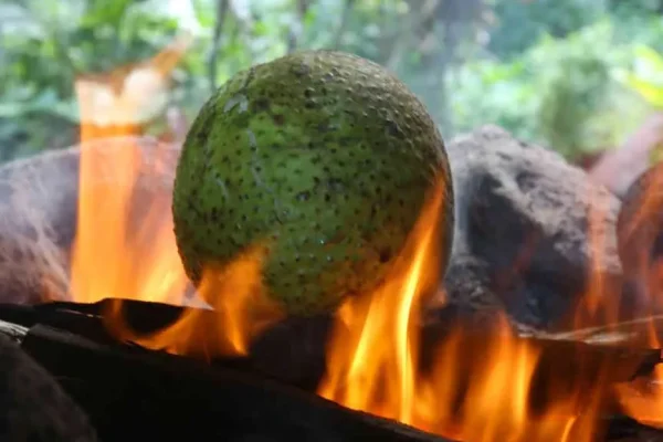 Cuisson uru au feu de bois © Vincent LYKY