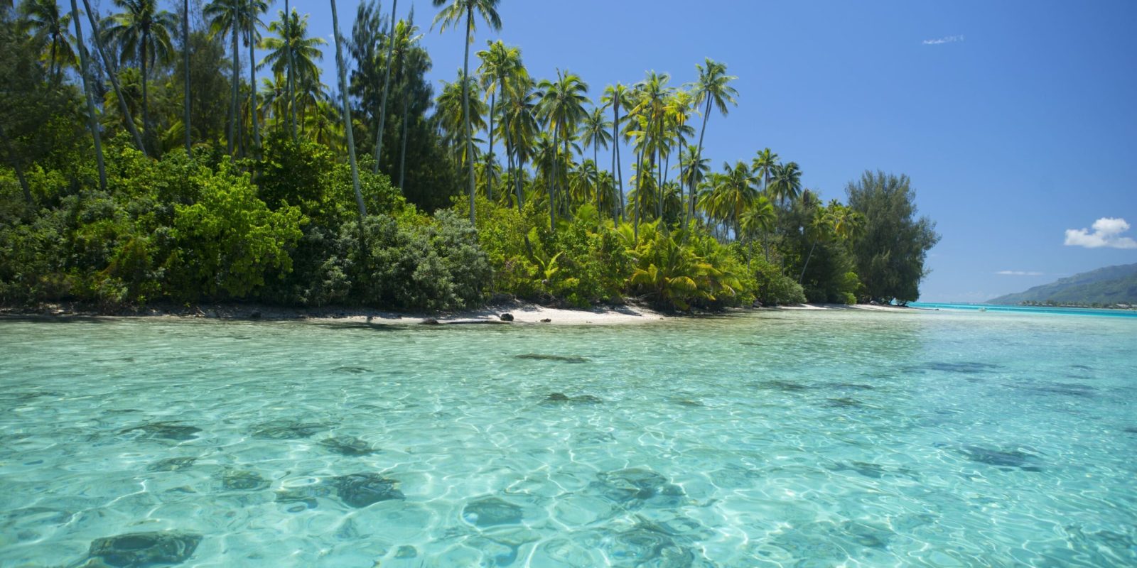 Moorea beach c Tahiti Tourisme