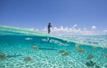 Tahiti’s Natural Heritage