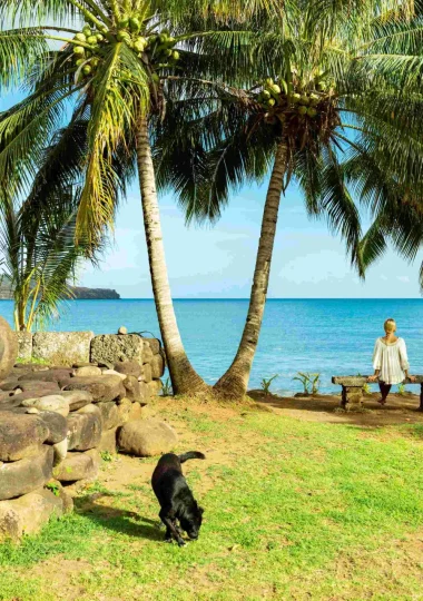 Travelling to The Islands of Tahiti with animals © Grégoire Le Bacon