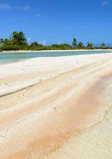 Pink sand beach in Tikehau © Philippe Bacchet