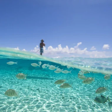 Paddleboarding in the lagoon c Tahiti Tourisme