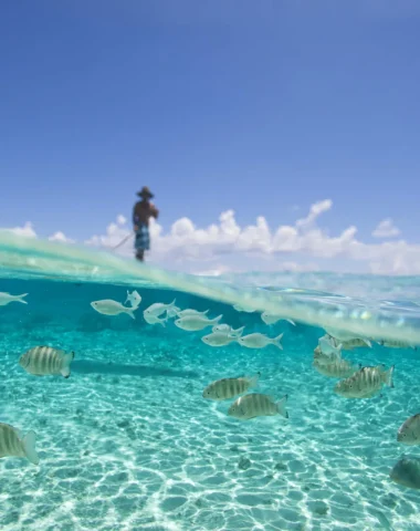 Paddleboarding in the lagoon c Tahiti Tourisme