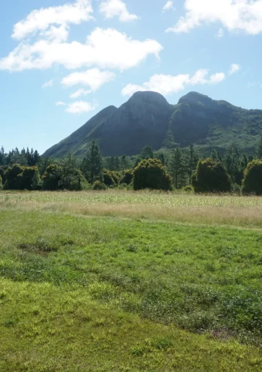 Mount Taitaa in Tubuai © Léa Parizot