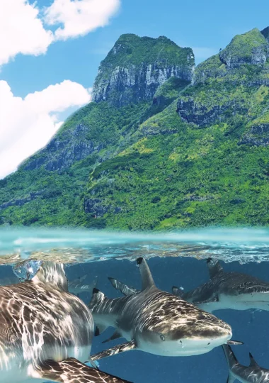 Things to do in Bora Bora
